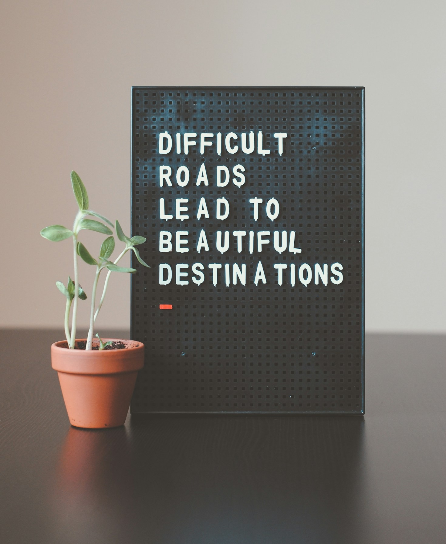 Transformative Stories of Growth and Self-Belief